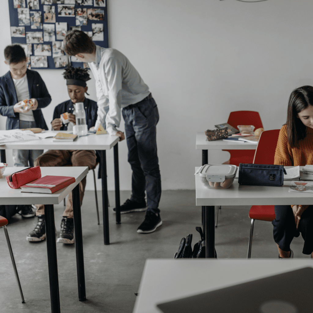 PARMA, ADEGUAMENTO SISMICO SCUOLA G.AGAZZI 9 APPALTO PARMA (4)