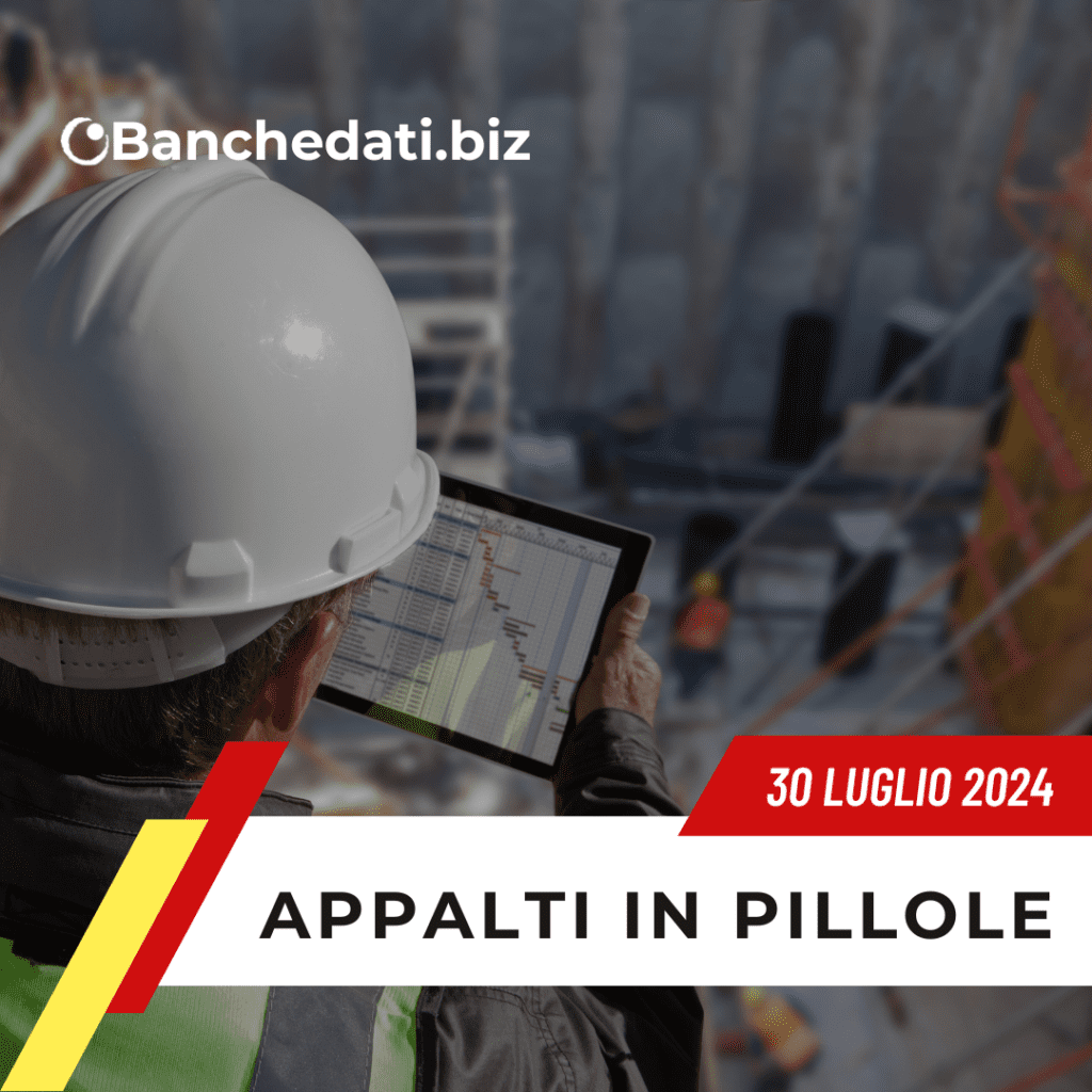 Appalti In Pillole del 30 luglio 2024 4 appalti in pillole(10)