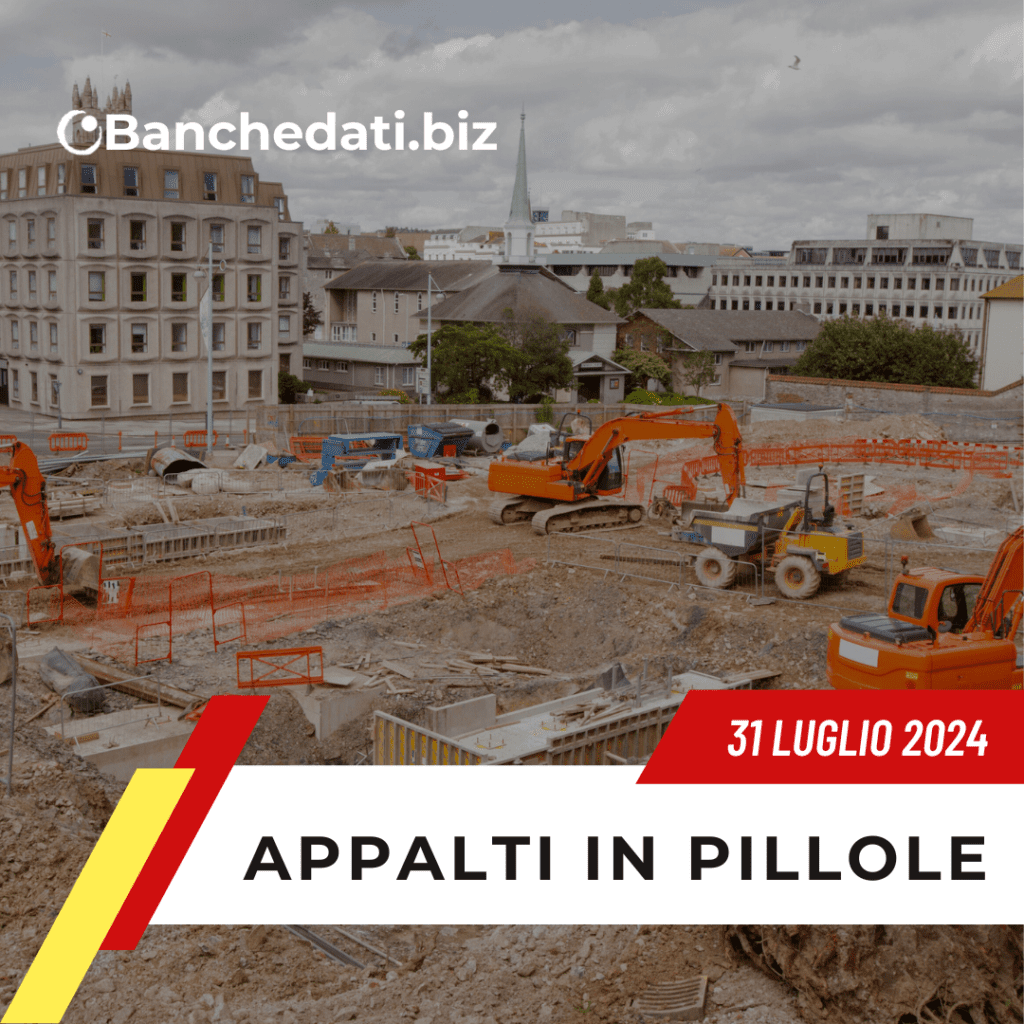 Appalti In Pillole del 31 luglio 2024 3 appalti in pillole(11)