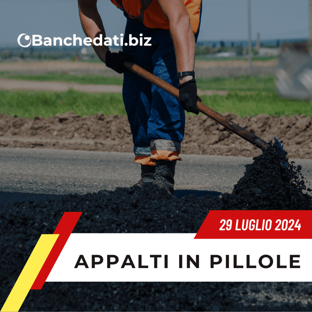 Appalti In Pillole del 29 luglio 2024 5 appalti in pillole(9)