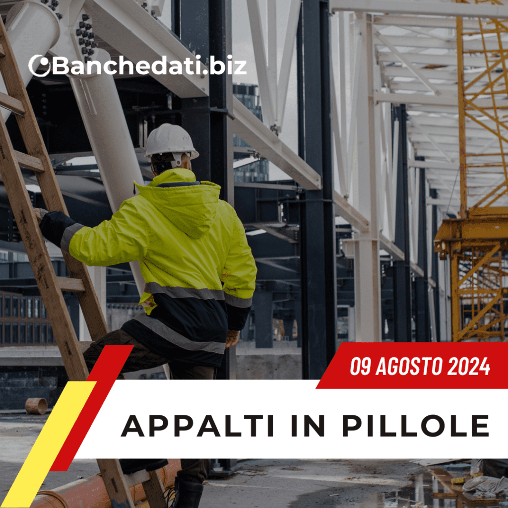 appalti in pillole(19)