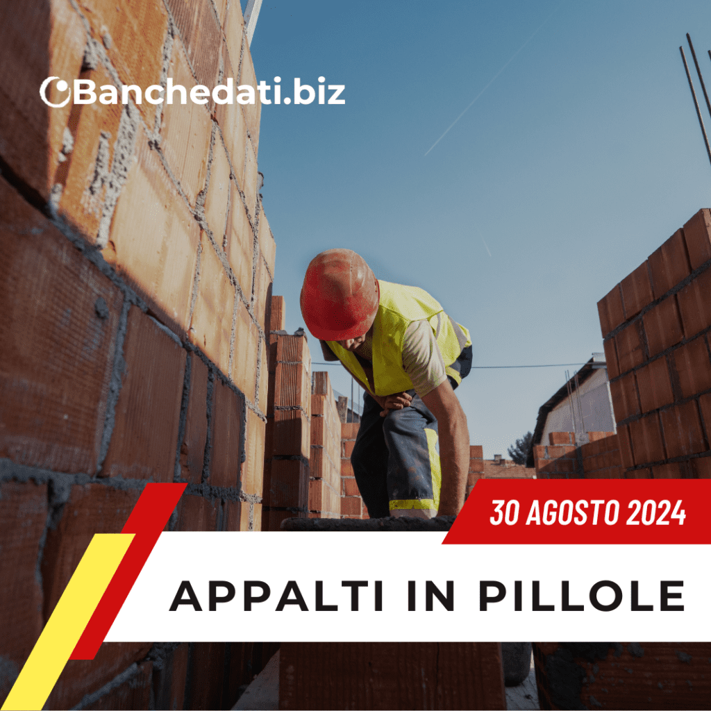Appalti In Pillole del 30 agosto 2024 4 appalti in pillole(24)