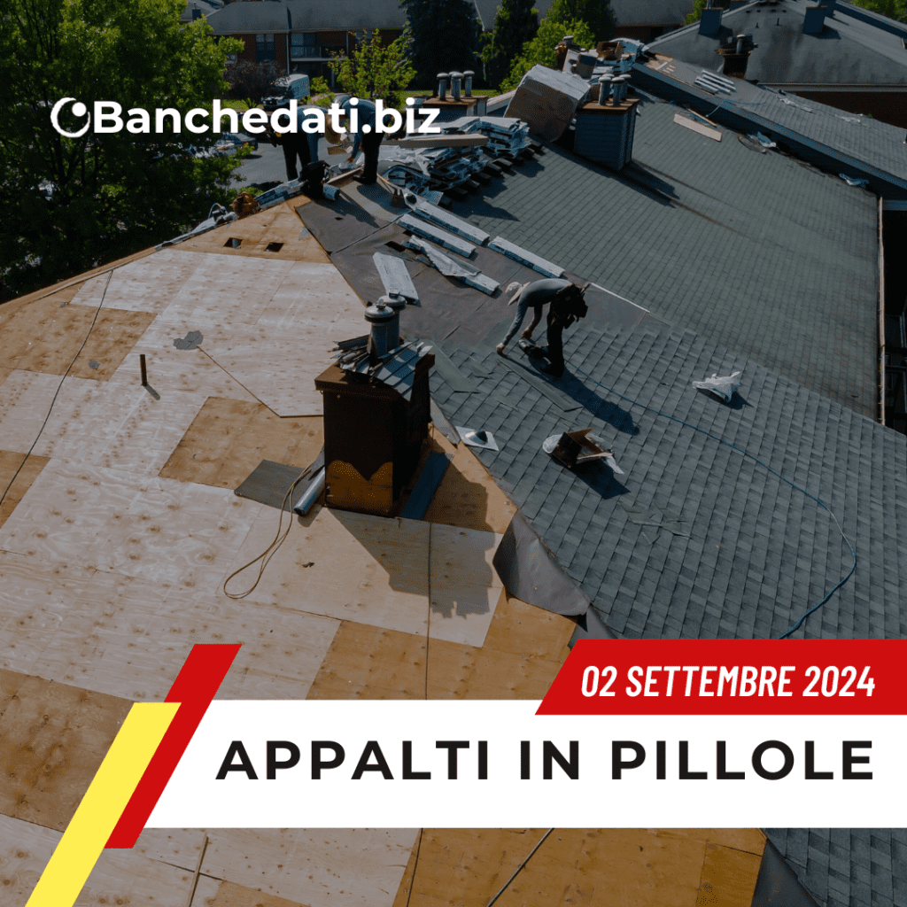 Appalti In Pillole del 02 settembre 2024 3 appalti in pillole(25)