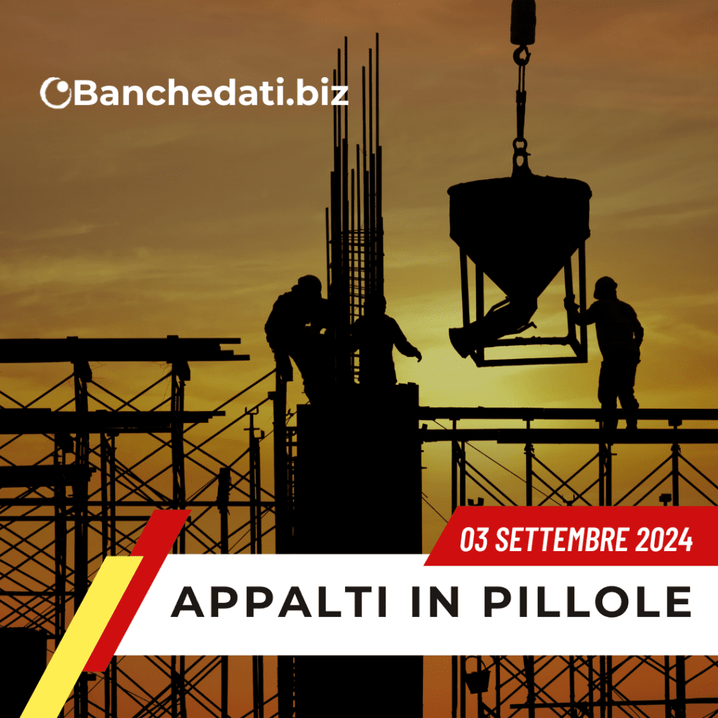 Appalti In Pillole del 03 settembre 2024 2 appalti in pillole(26)