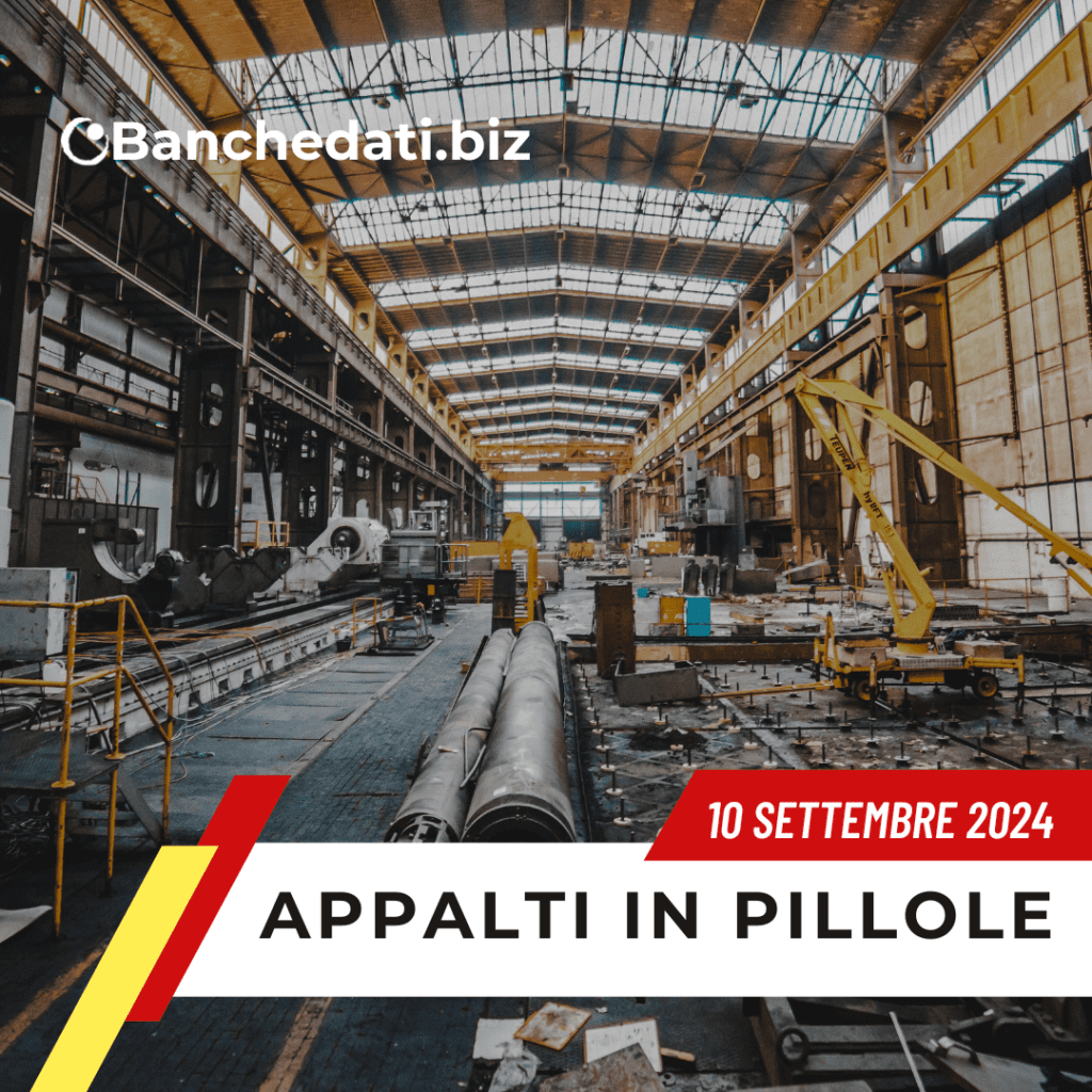 appalti in pillole(31)