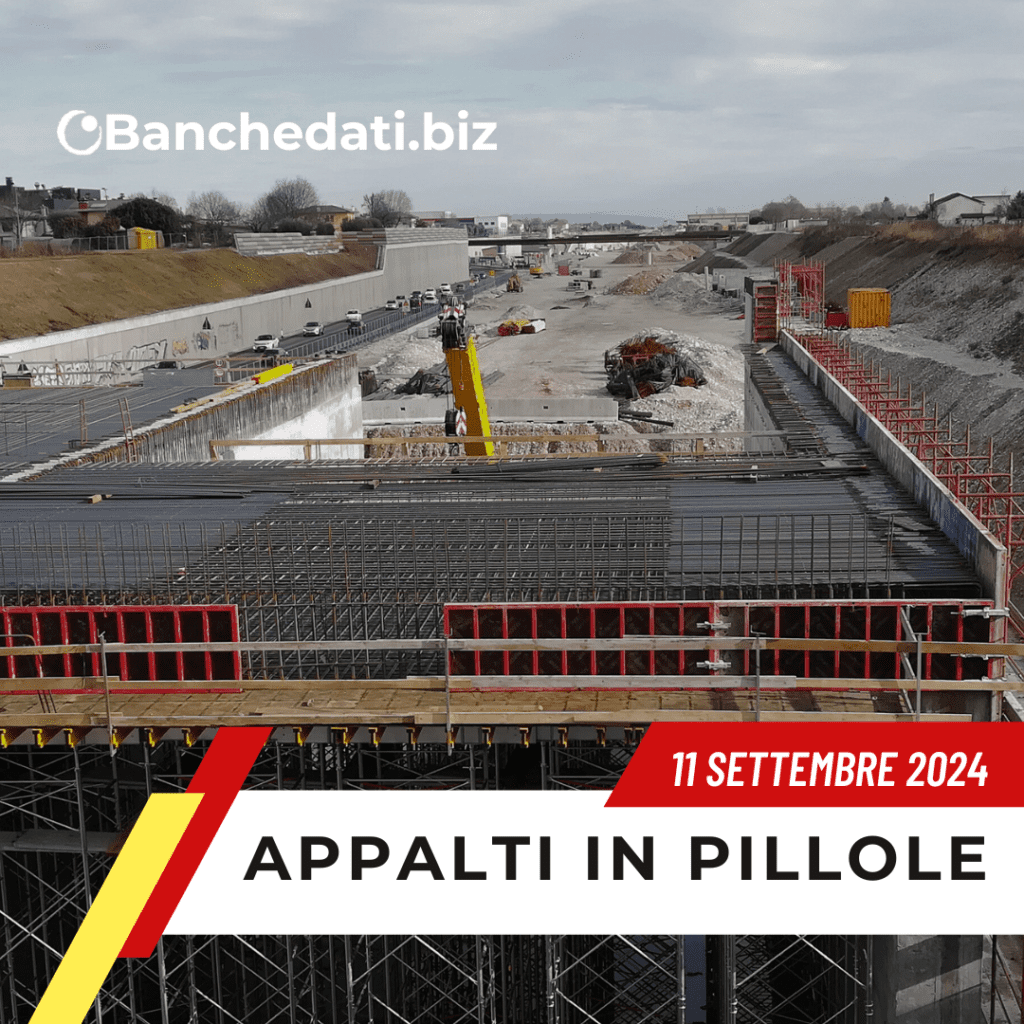 appalti in pillole(33)