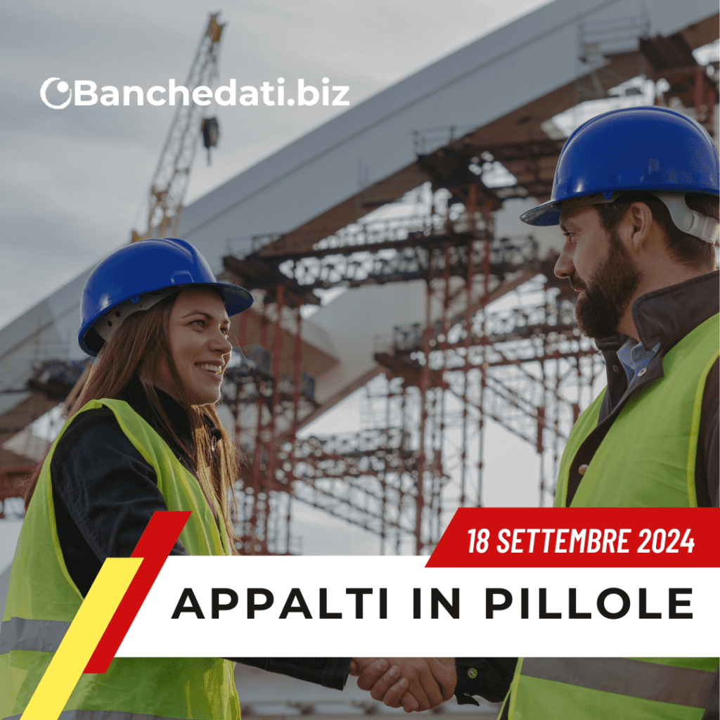 appalti in pillole(37)